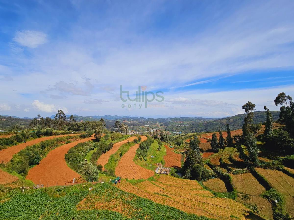 Tulips Village Resorts Ooty Eksteriør bilde